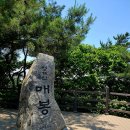 굴다리과일.야채 | 가보니ㅣ청계산 원터골부터 매봉까지: '이놈의 계단' 끝에 만난 선물 같은 풍경