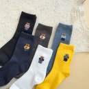 코지베어 이미지