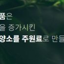 아이숲약국 이미지