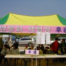 한마음몰 Daum카페