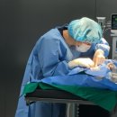 준동물병원 이미지