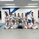 태비 태권도장 이미지