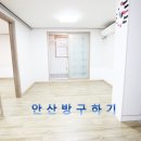 엘리유 - 8195 | 엘리유