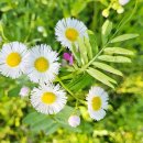 고척근린공원 이미지