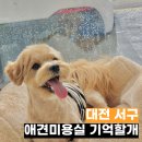 기억할개 이미지