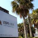 넙빌레스토리