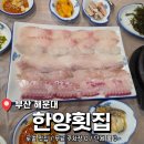 할머니홍어회 | 부산 해운대 재송동횟집 , 로컬 맛집 찾는다면 <한양횟집> 솔직 후기