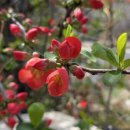 포항 한지장 이미지