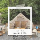 울산 캠핑장 물놀이 가능한 배내골캠핑장 산책로 솔직후기 명당자리 추천