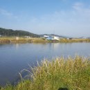 선두포낚시터 이미지