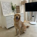 스테이위더스 이미지