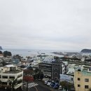 [탐라 여행사] 제주도 택시투어로 안전하고 편안하게 다녀왔어요. 가성비 끝판왕 렌트기사포함 추천...