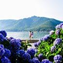 남부면사무소 이미지