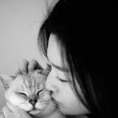 오뗄뒤샤 이미지