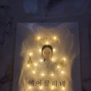 헤어끌리네 이미지