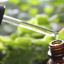 (주)폭스앤플래닛 이미지