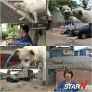 금식농장 이미지