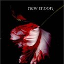 NEW MOON 이미지