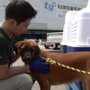 지양농장 이미지