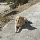 구천동농협 하나로마트 본점 이미지