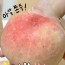 재민농장 이미지