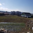 제주만세부동산중개 이미지