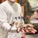 (주)알레스 하남지점 | 주렁주렁 할인 영등포 타임스퀘어 놀거리 서울 실내동물원 추천 카피바라 동탄 하남 경주