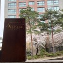 [서울역 맛집] 후암동 프랑스 식당 “끌레망꾸꾸” 청모 내돈내산 후기