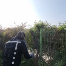 태안나비 이미지