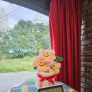 이화해변아파트 | [강릉 초당동] 가족모임, 직장모임하기 좋은 깔끔한 중식당 &#39;일상&#39; | 내돈내산 강릉 현지인 맛집