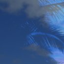 아이큐성형외과의원 이미지