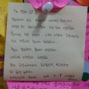 나은 강아지나라 이미지