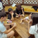 스타트레블 이미지