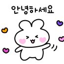감동케어해피베이비 이미지