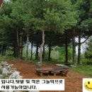 평사(여) 이미지