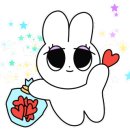 숙이네포차 이미지