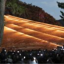 선유애견 이미지