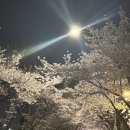 도림천 산책로4 이미지