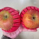 지니농원 이미지