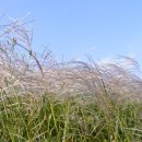 현천농장 이미지