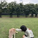 스테이코스트 | 호주 현지가이드가 추천하는 여행상품 [시드니 | 뉴질랜드 | 멜버른 | 브리즈번 | 골드코스트]