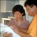 새빛법률사무소 이미지
