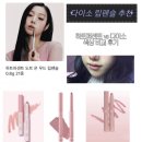 101퍼센트짐 | 다이소 립펜슬 추천 하트퍼센트 저렴이 3종 색상 비교 후기