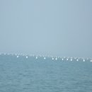 강헌농장 이미지