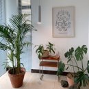 슬로우어스제주 | 제주 성산 감성숙소 슬로우어스 후기