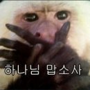 어신 이미지