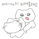 미스터브릭 이미지