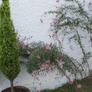 서학동예술마을 이미지