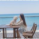 바다의 아침 펜션 이미지