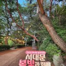 청소년푸른쉼터 화장실 | 서대문 튤립 명소 실시간 연희숲속쉼터 안산벚꽃길 주차 가는법